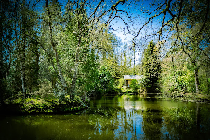 Cabane 55, Brocéliande